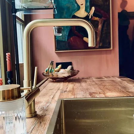 度假居 Cosy Real Dutch Family House Anno 1910 阿尔克马尔