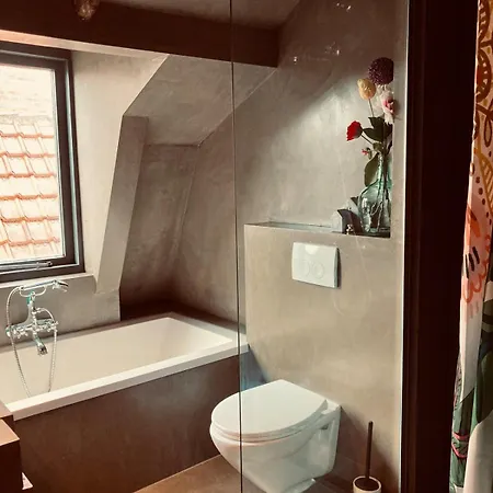 Cosy Real Dutch Family House Anno 1910 Alkmaar