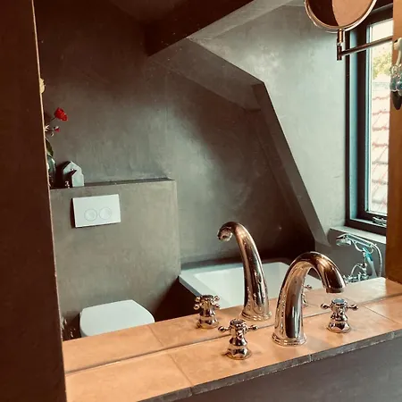 Cosy Real Dutch Family House Anno 1910