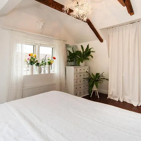 度假居 Cosy Real Dutch Family House Anno 1910 *