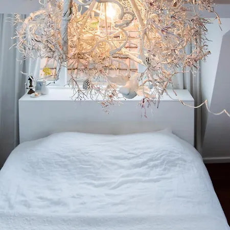 Cosy Real Dutch Family House Anno 1910 度假居 阿尔克马尔