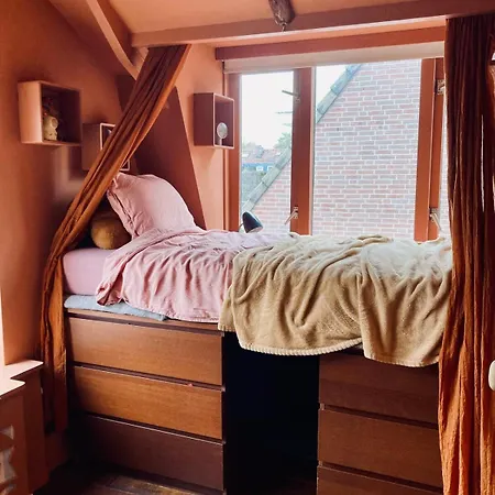 Cosy Real Dutch Family House Anno 1910