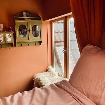 Cosy Real Dutch Family House Anno 1910 度假居 阿尔克马尔