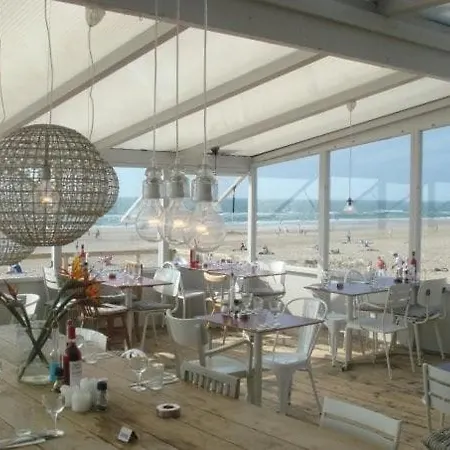 Cosy Real Dutch Family House Anno 1910 * 阿尔克马尔